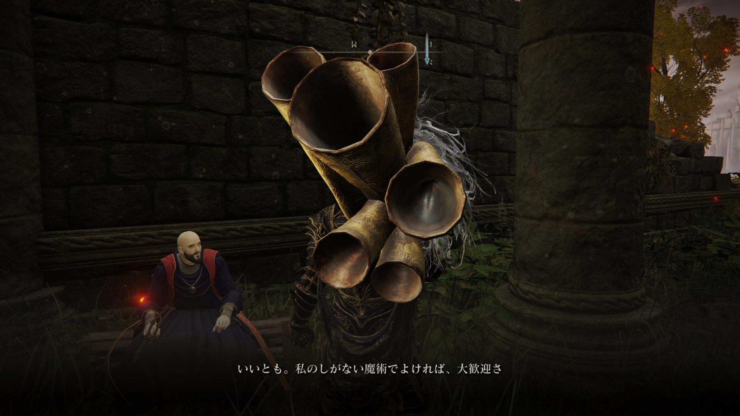 エルデンリング Npcのストーリーちょっと酷いの多すぎない トープスくんの最期が辛すぎるんだが ゲーム特化速報